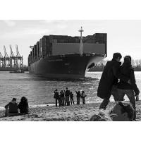 432_36 Wenden eines Containerschiffs auf der Elbe - Zuschauer bei der Strandperle. | Oevelgoenne + Elbstrand.